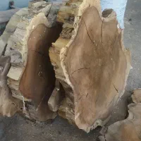 ریشه گردو|صنایع دستی و سایر لوازم تزئینی|چهاردانگه (تهران), |دیوار