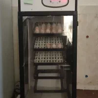 دستگاه جوجه کشی اسکندری