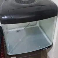 آکواریوم شیشه خم