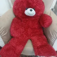 خرس پولیشی بزرگ