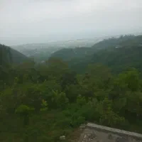 نیرو کار