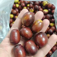 عناب تازه، ترد و شیرین و بزرگ، ارسال دارم