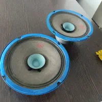 میدرنج سایز ۸ در حد کیفیت بالا