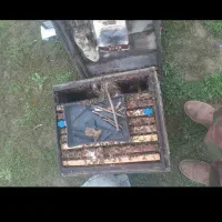 تعداد۳۵ عدد زنبور عسل وتعدادی کندووطبق خالی