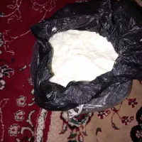 کره گوسفند