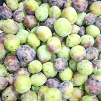 گردو|خوردنی و آشامیدنی|گنبد کاووس, |دیوار