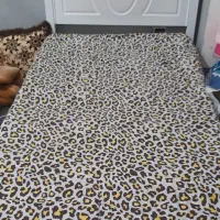 تخت یکنفره باتشک