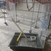 قفسه