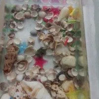 آکواریوم با پومپ و ماهی