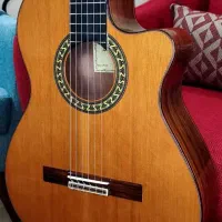 آموزش گیتار آنلاین و حضوری و خصوصی