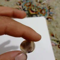 نگین شجر