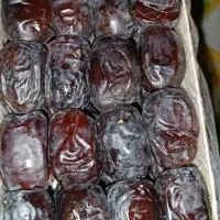 خرما|خوردنی و آشامیدنی|مشهد, مصلی (کارمندان اول)|دیوار