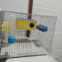 قفس