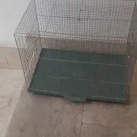 قفس سهره وقناری
