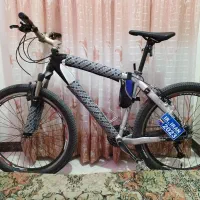 دوچرخه سایز 26 ویوا تایوان