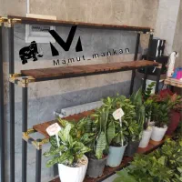 رگال استند طبقه ای و پله ای و منبری گل فروشی