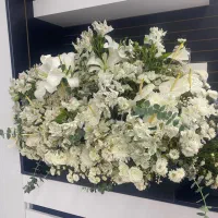 گل طبیعی زیبا
