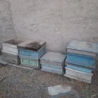 لباس ولوازم زنبورداری