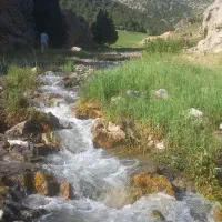 طبیعت گردی