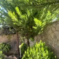 منزل دوطبقه ویلایی دربست
