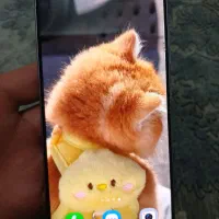 s21 fe در حد نو