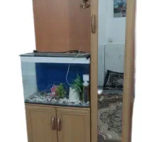 جاکفشی وآکواریوم