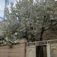 خدمات نظافتی ساختمان های مسکونی،اداری و...پاک نگار