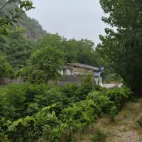 اجاره سوئیت