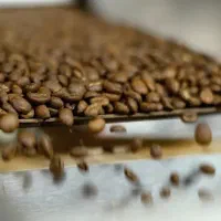 تولیدکننده محتوا برای قهوه (فیلمبردار، بلاگر)