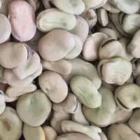 باقله