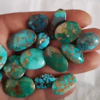 بارخونه ۴۵ عددی فیروزه نیشابور اعلا