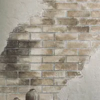 اجرای میکروسمنت،نما و دکور داخلی