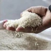 برنج هاشمی درجه ۱ سر الک