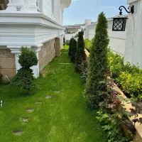 214-متر-فلامک-شمالی