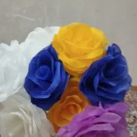 گل با چندین رنگ