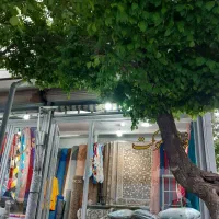 شیرودی ملک تجاری مسکونی سرنبش سند تک برگ