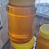 عسل منطقه کوهستان