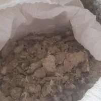 ذیل‌کبوتر‌تر‌تمیز‌خشک
