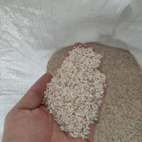 برنج سالم محلی علی کاظمی