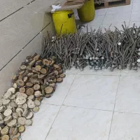 نشیمن کالباسی شاخه طبیعی قفس پرندگان دوشاخ پرندگان