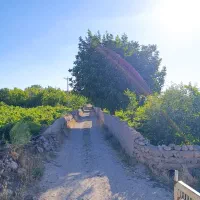 باغ میم انگور و زمین کشاورزی