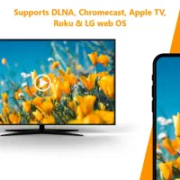 دانگل تلویزیون