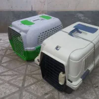 باکس نگهداری حیوانات