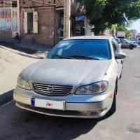 ماکسیما 81