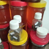گنجینه. زنبور