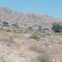 نیروی ماهر و کارکرده جهت خالی کردن کندو