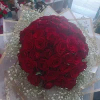 فروش عمده رز هلندی ارومیه ارزان