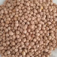 نخود آبگوشتی فقط ۱۵۰ هزار کیلویی  ۲ کیلو فقط مونده