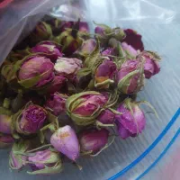 گل برگ و غنچه