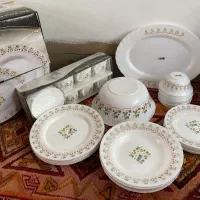 دومدل سرویس آرکوپال امارات و لیوان پاشاباغچه